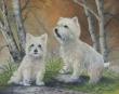 West Highland Terriers