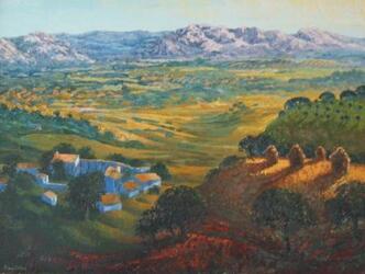 Harvest Fields in the Luberon Valley