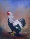 A Prize Cockerel (SOLD)